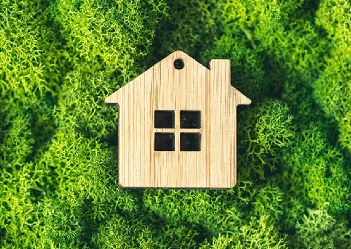 Wooden House surrounded by green